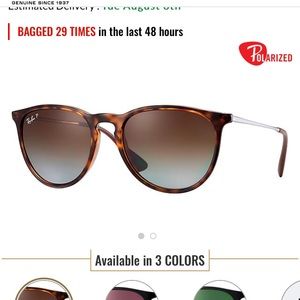 Ray Ban Polarized Erika Sunglasses - Tortoise